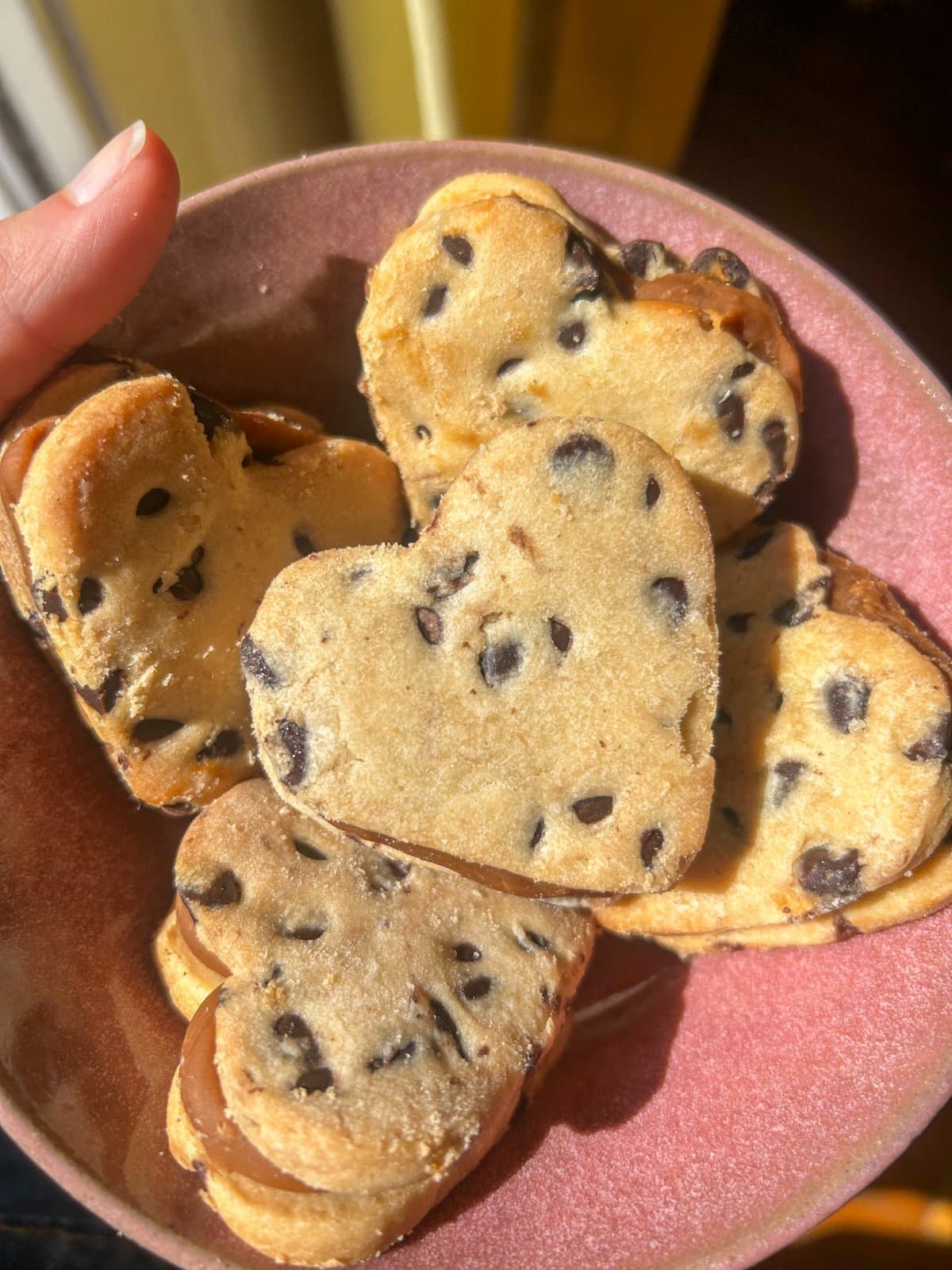 Alfacookies Sagitario ♐